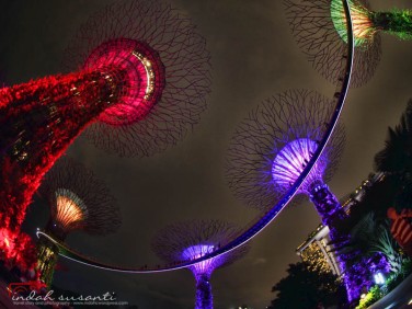 Gardens by the Bay - Indah Susanti